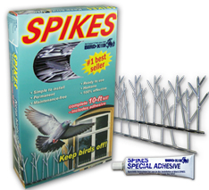 Polycarbonate Spikes for retail