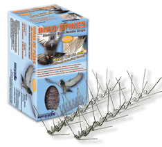 Stainless Steel Spikes for retail