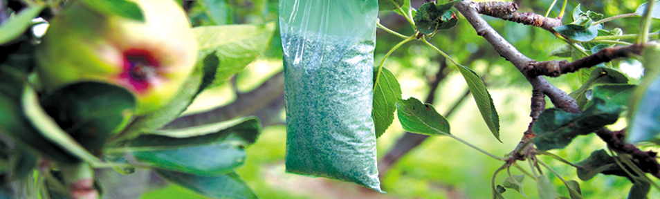 Bird-x green products