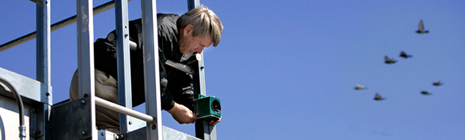 Bird-X electronic solutions