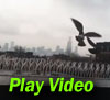 Birds roosting where spikes not yet installed