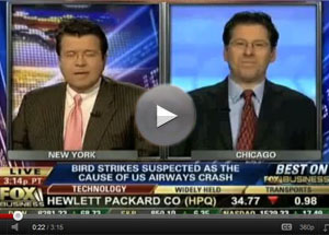 Bird-X discusses airplane bird strikes