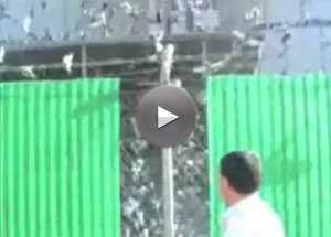 Sonic bird control device repels pest birds from gain silos